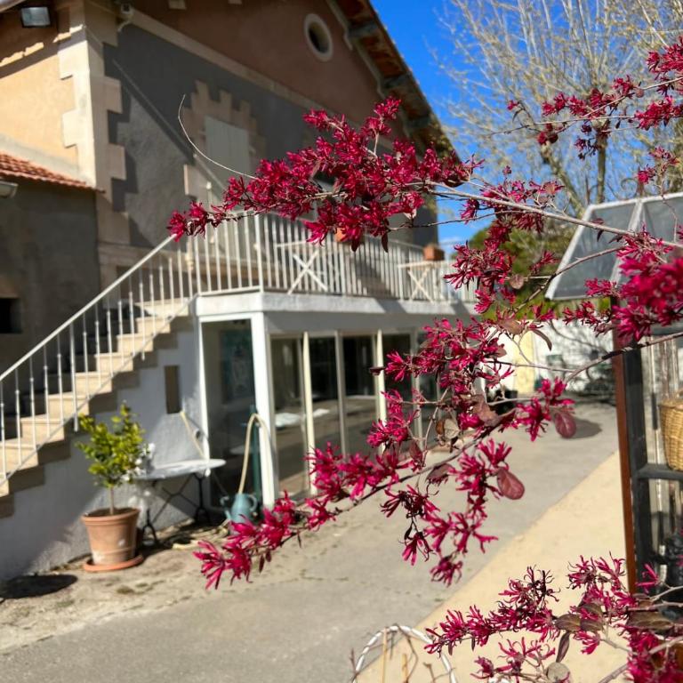 "Countryside Escape Charm and Serenity in Isle-sur-la-Sorgue" - Apartment - 2
