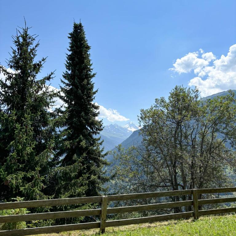Chalet La Madelon - Idéal pour les grandes familles - Chalet - 17