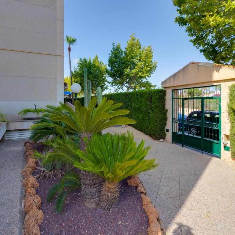 Apartamentos Oasis - Three-Bedroom Apartment - 4