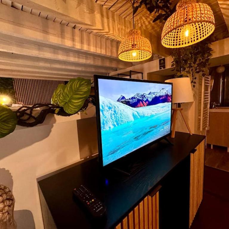 Jungle avec Jaccuzi au coeur de Nice - Appartement 1 Chambre - 48