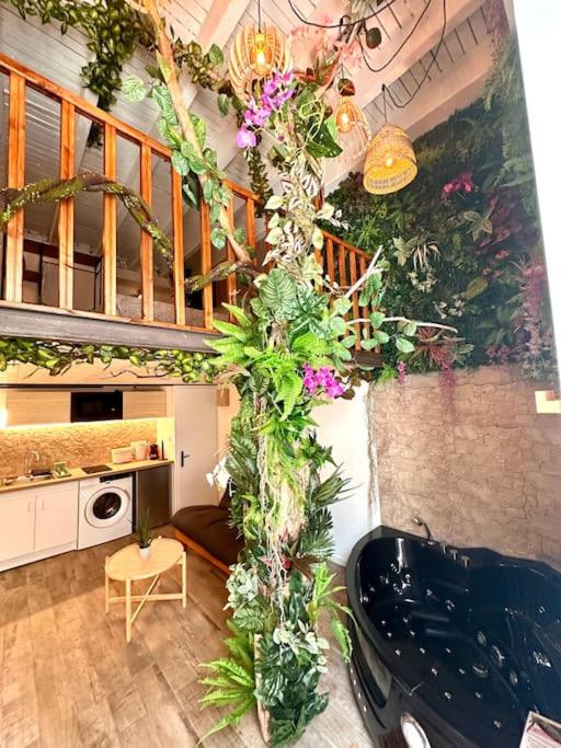 Jungle avec Jaccuzi au coeur de Nice - Appartement 1 Chambre - 8