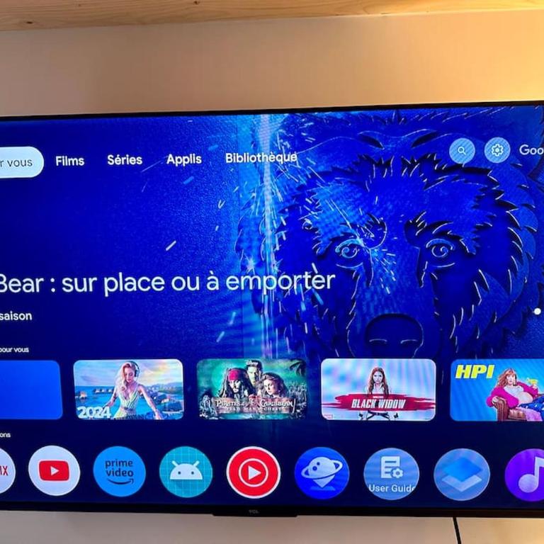 Jungle avec Jaccuzi au coeur de Nice - Appartement 1 Chambre - 49