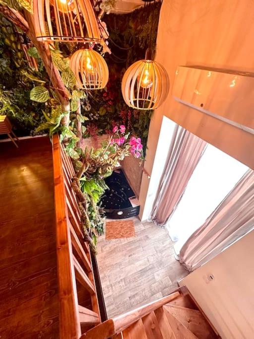 Jungle avec Jaccuzi au coeur de Nice - Appartement 1 Chambre - 17