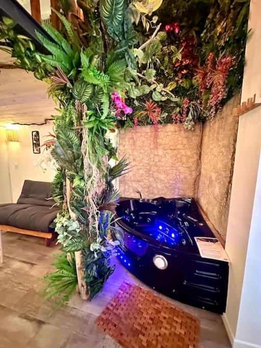 Jungle avec Jaccuzi au coeur de Nice - Appartement 1 Chambre - 18