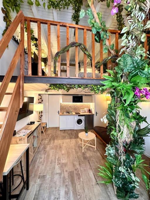 Jungle avec Jaccuzi au coeur de Nice - Appartement 1 Chambre - 19