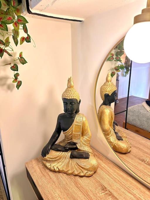 Jungle avec Jaccuzi au coeur de Nice - Appartement 1 Chambre - 20