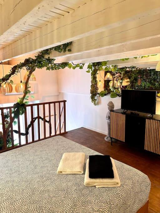 Jungle avec Jaccuzi au coeur de Nice - Appartement 1 Chambre - 24