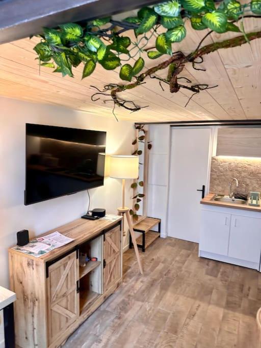 Jungle avec Jaccuzi au coeur de Nice - Appartement 1 Chambre - 27