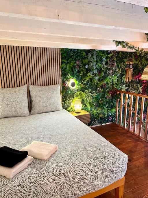 Jungle avec Jaccuzi au coeur de Nice - Appartement 1 Chambre - 29