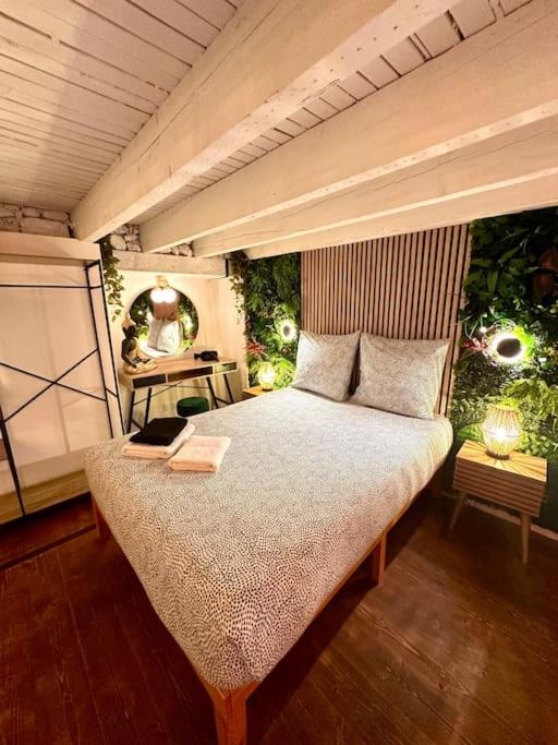 Jungle avec Jaccuzi au coeur de Nice - Appartement 1 Chambre - 30