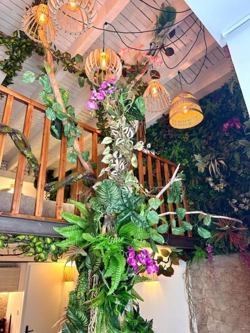 Jungle avec Jaccuzi au coeur de Nice - Appartement 1 Chambre - 35