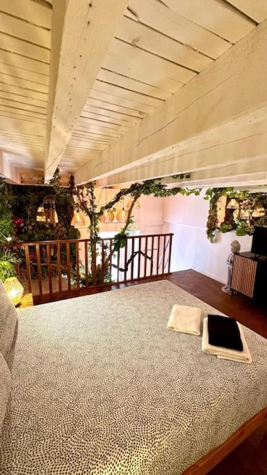 Jungle avec Jaccuzi au coeur de Nice - Appartement 1 Chambre - 37