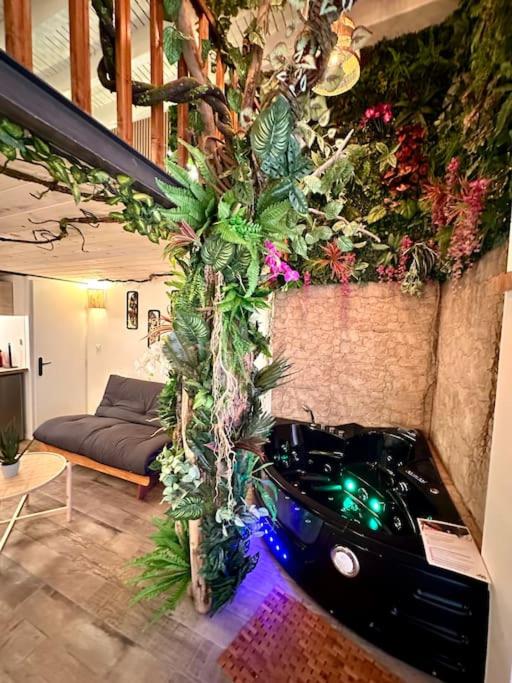 Jungle avec Jaccuzi au coeur de Nice - Appartement 1 Chambre - 40