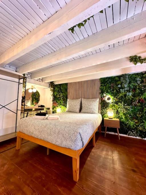 Jungle avec Jaccuzi au coeur de Nice - Appartement 1 Chambre - 41