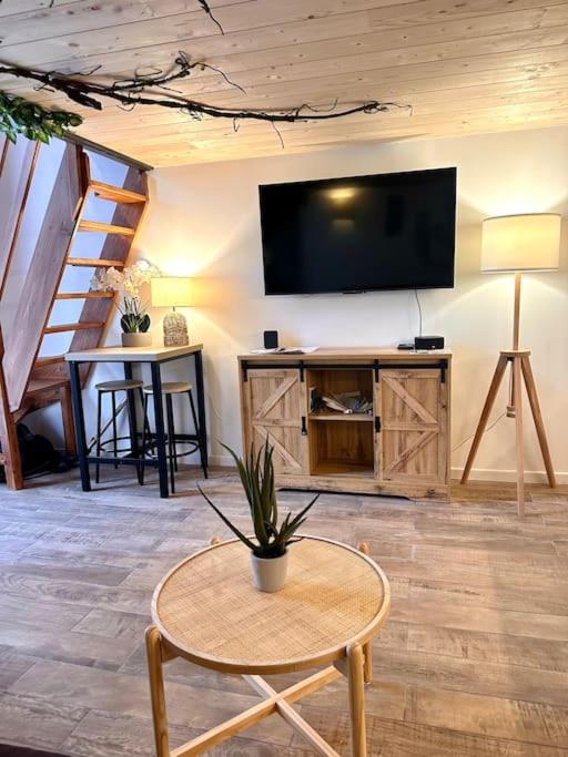 Jungle avec Jaccuzi au coeur de Nice - Appartement 1 Chambre - 42
