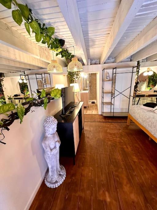 Jungle avec Jaccuzi au coeur de Nice - Appartement 1 Chambre - 43