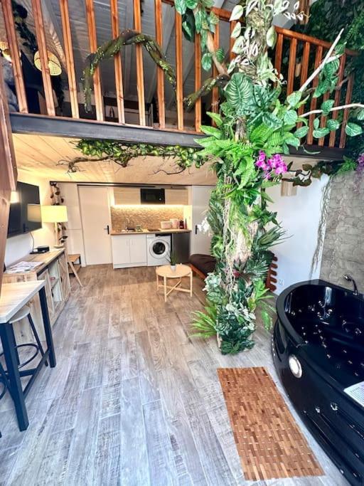 Jungle avec Jaccuzi au coeur de Nice - Appartement 1 Chambre - 46