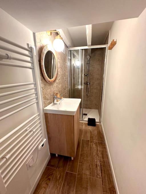 Jungle avec Jaccuzi au coeur de Nice - Appartement 1 Chambre - 31