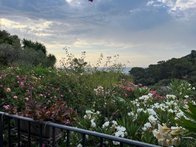 Pleine vue mer - Villa - 15