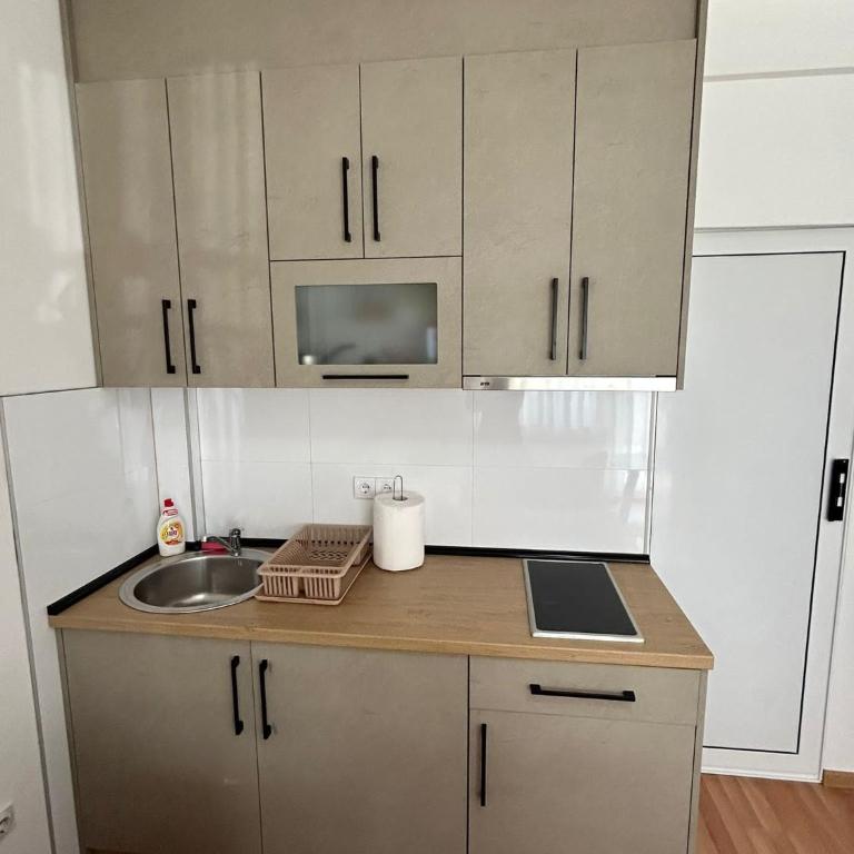Apartman RUŽICA - One-Bedroom Apartment - 3