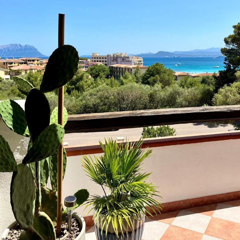 Appartamento Figari - Appartamento con 1 Camera da Letto - 5