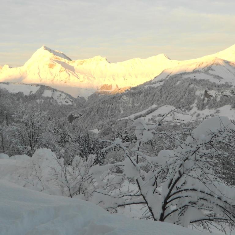 Chalets Savoie Les chalets d'Heidi - Chalet 1 Chambre (4 Adultes) - 17