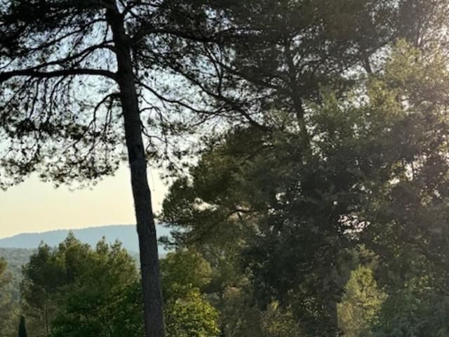 Villa Aix en Provence, Comme à la maison - Appartamento con 2 Camere da Letto - 12