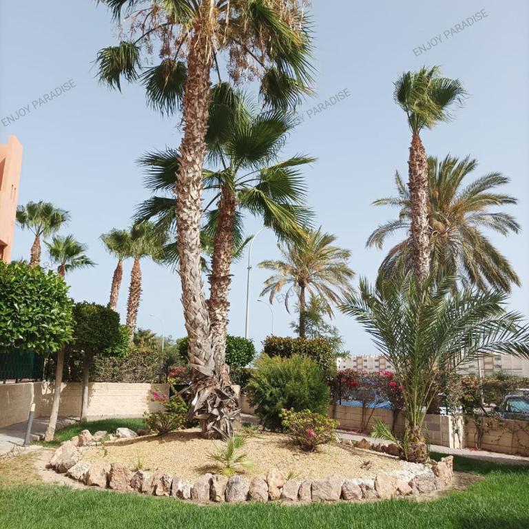 Enjoy Paradise - Apartamento de 2 dormitorios - 72