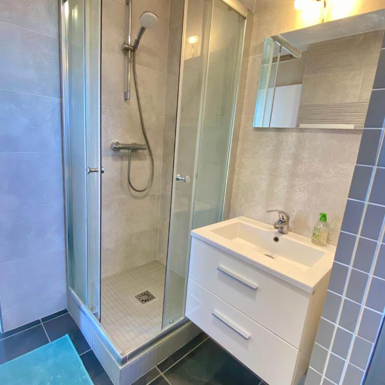 Le Belvédère - Studio avec vue YourHostHelper - Appartamento con 1 Camera da Letto - 16