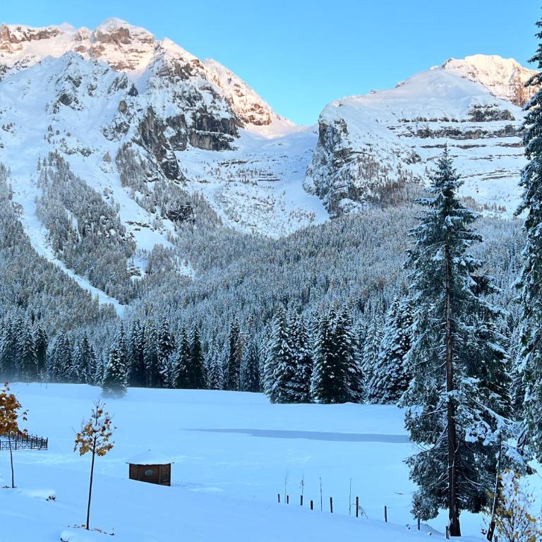 Cosy Lodge un rifugio romantico nel cuore delle Dolomiti - Appartamento con 2 Camere da Letto - 24