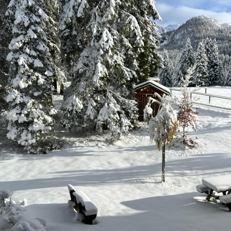 Cosy Lodge un rifugio romantico nel cuore delle Dolomiti - Appartamento con 2 Camere da Letto - 23