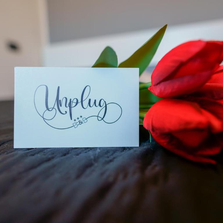 Unplug - Camera Matrimoniale con Bagno Privato - 19
