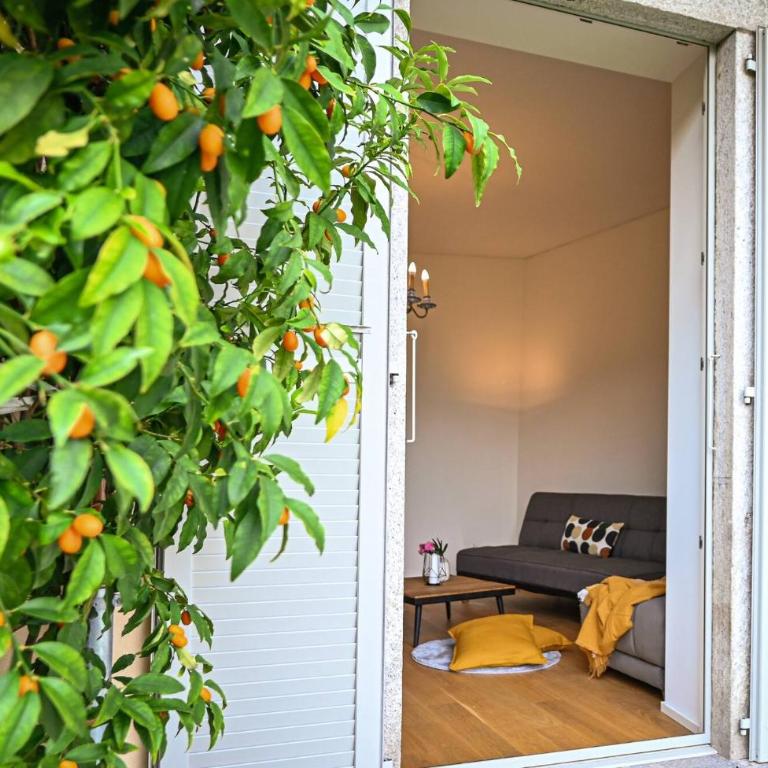 Luxury Central Suite Garden in Lugano - Appartamento - 21