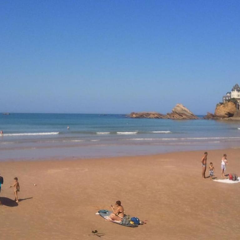 T2 bis vue mer, 5 pers, grande terrasse - Apartment mit 2 Schlafzimmern - 9