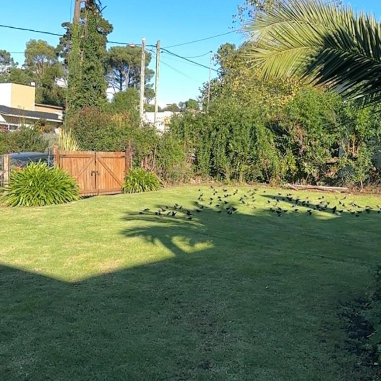 Casa Tulio y Rosa - Two-Bedroom House - 15