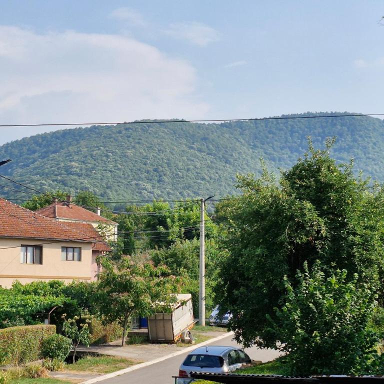Apartman Vista Sokobanja - Apartman sa 1 Spavaćom Sobom - 14