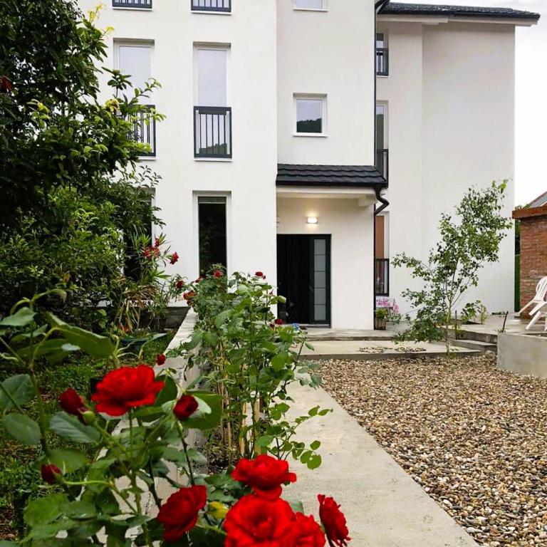 Vas Dom NA - Apartman sa 1 Spavaćom Sobom - 1