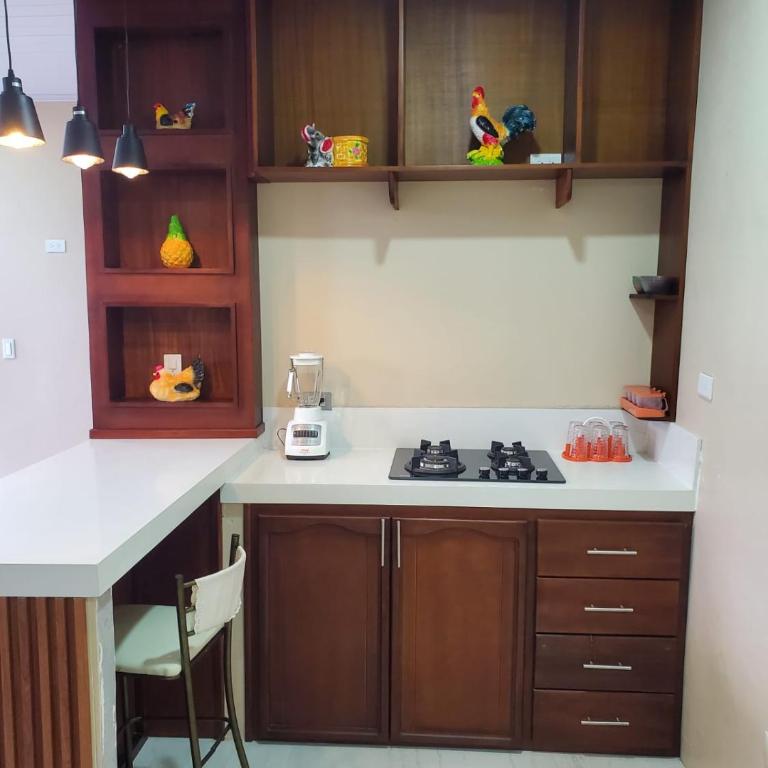 Suite vista hermosa apartament - Apartamento de 2 dormitorios - 3