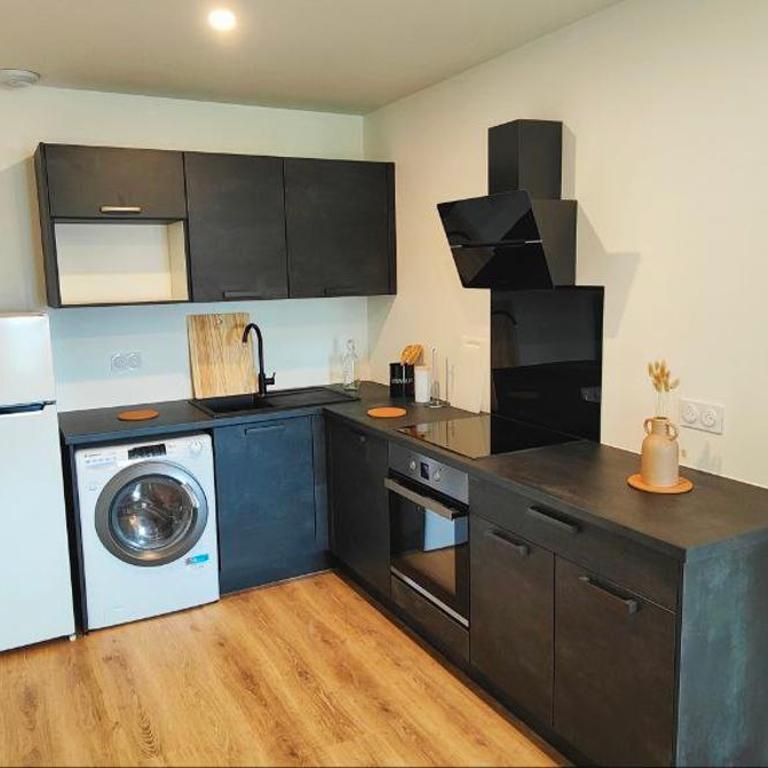 Joli Appart Le Moderne Design - Appartement 1 Chambre - 4