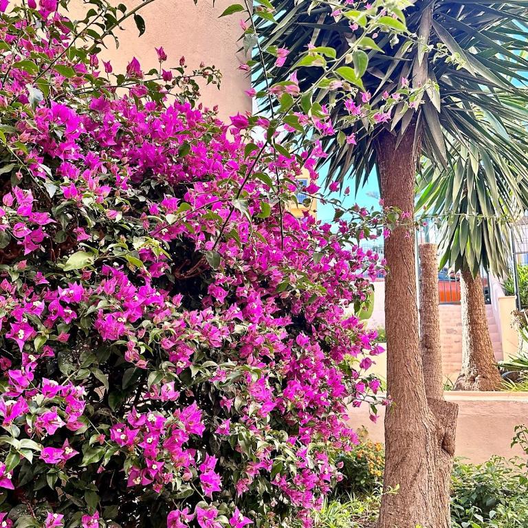 Budget-Apart Caronte in Riviera del Sol, Mijas Costa - Apartamento de 2 dormitorios - 31