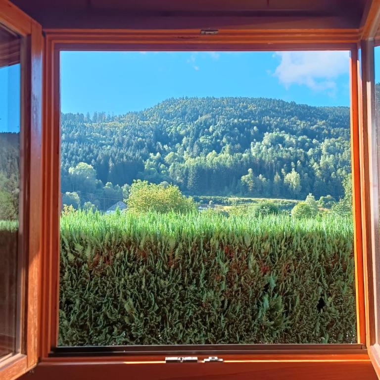 Le "Chalet de Minette" 2 étoiles La Bresse - Chalet - 14