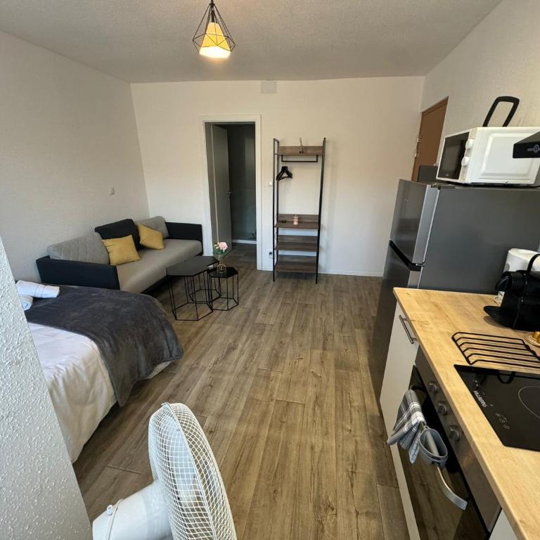 "les roses" Centre ville, stationnement gratuit et proche tram - Studio Apartment - 4