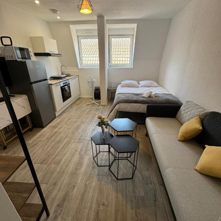 "les roses" Centre ville, stationnement gratuit et proche tram - Studio Apartment - 3