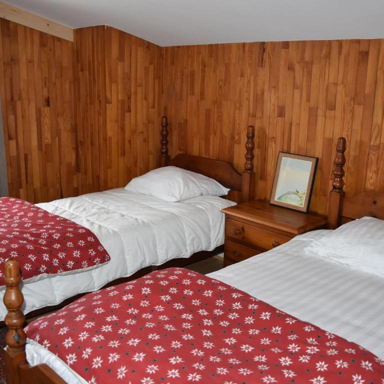 Chalet ensoleillé avec balcon et poêle à bois - FR-1-464-163 - Chalet 3 Chambres - 7
