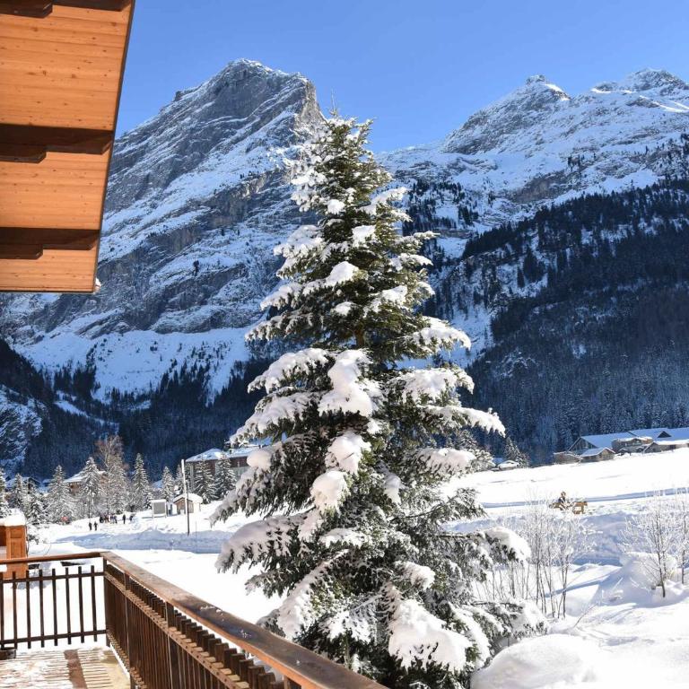 Chalet ensoleillé avec balcon et poêle à bois - FR-1-464-163 - Chalet 3 Chambres - 13