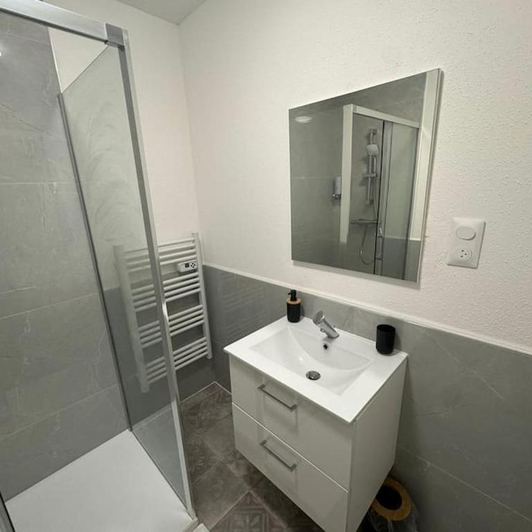 "Pampas" Centre, Stationnement gratuit et Proche Tram - Apartment mit 1 Schlafzimmer - 5