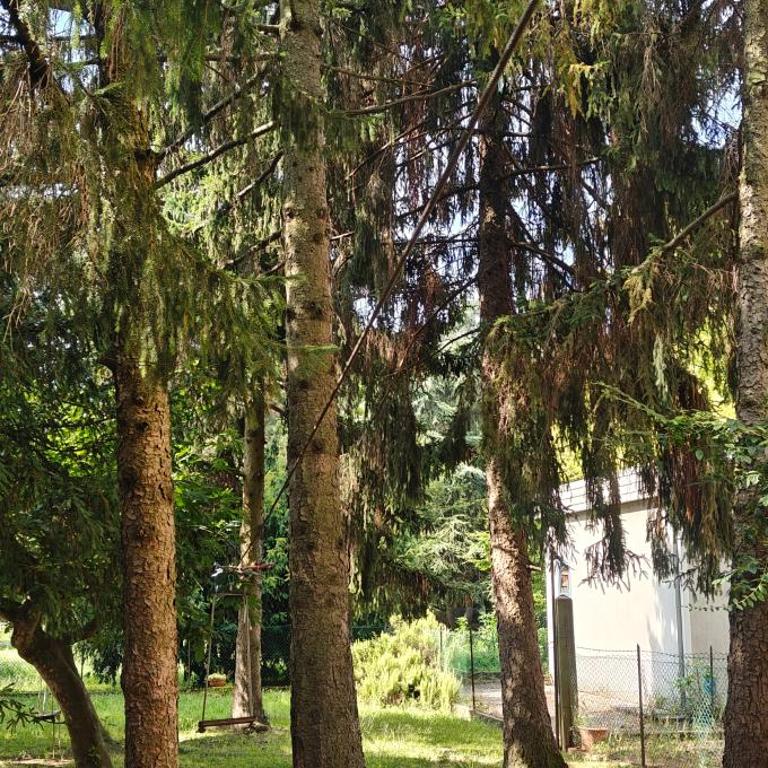 Oasi Verde - Appartamento con 2 Camere da Letto e Terrazza - 22
