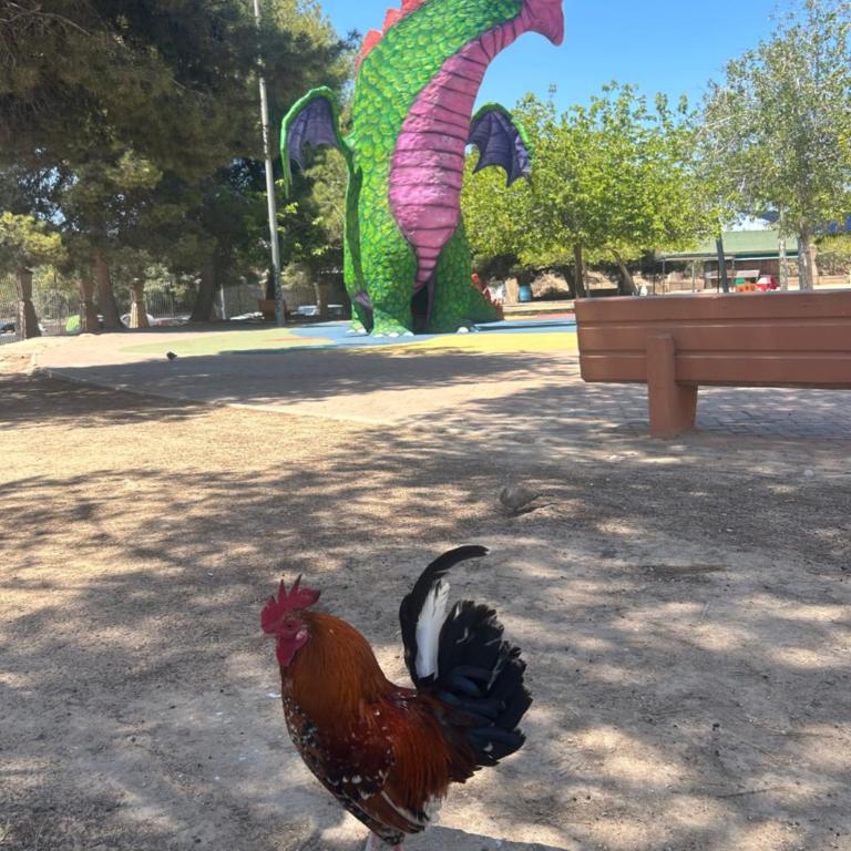 Apartamento bajo el gallo - Two-Bedroom Apartment - 70