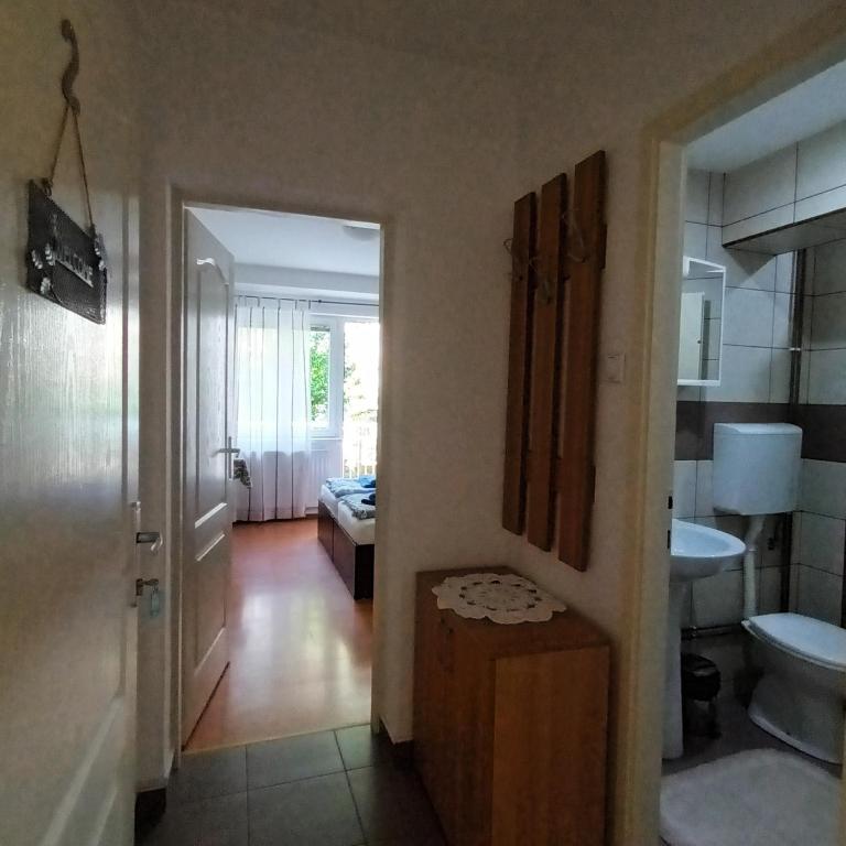 Maja V Apartmani Sokobanja - Standardni Studio - 2