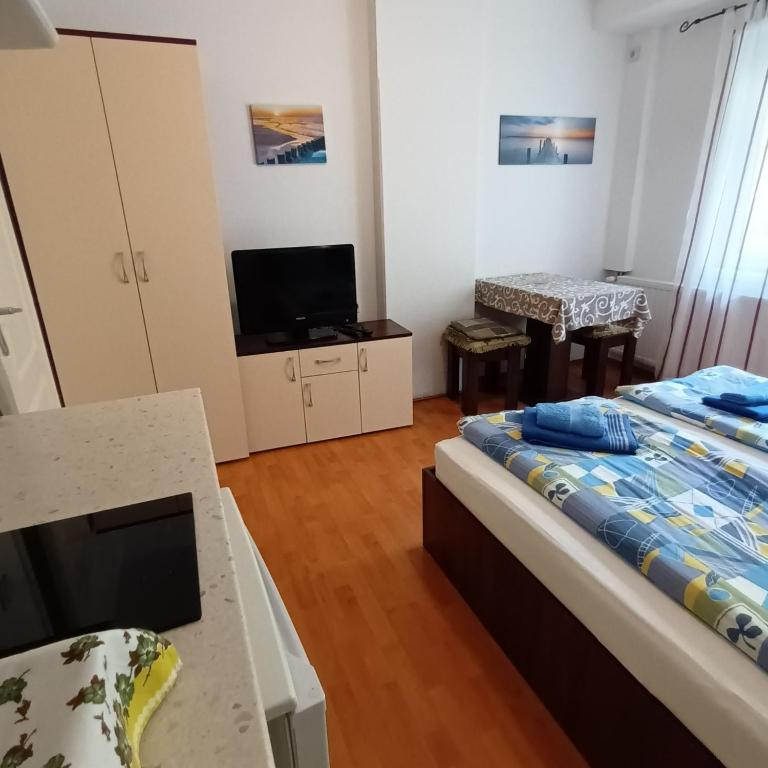 Maja V Apartmani Sokobanja - Standardni Studio - 4